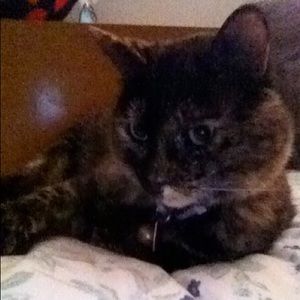 Meet your Posher, Brietta